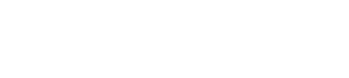 Grayscale Transparent Schriftzug nunicon